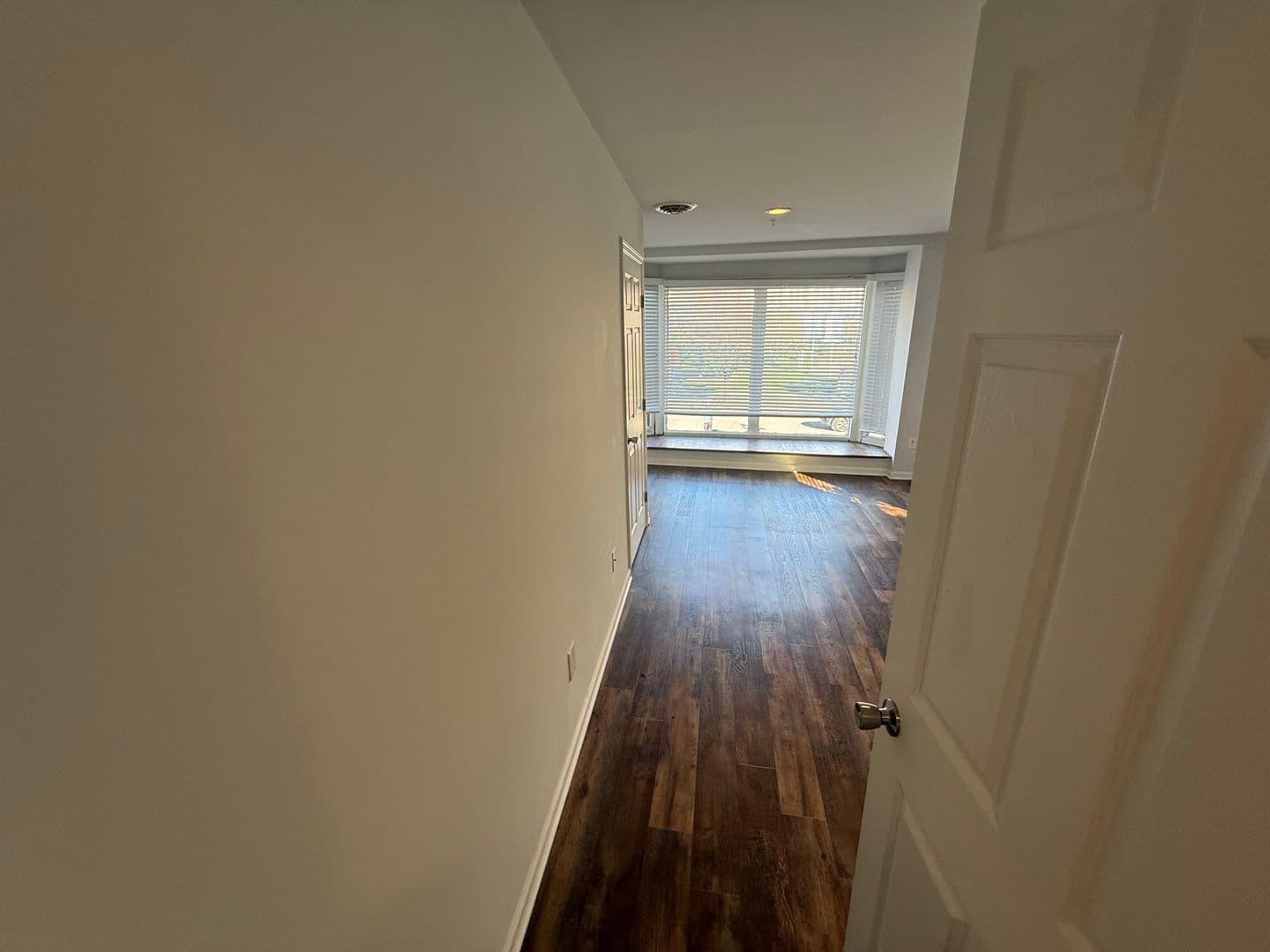 Albany Apartment: 402 Broadway