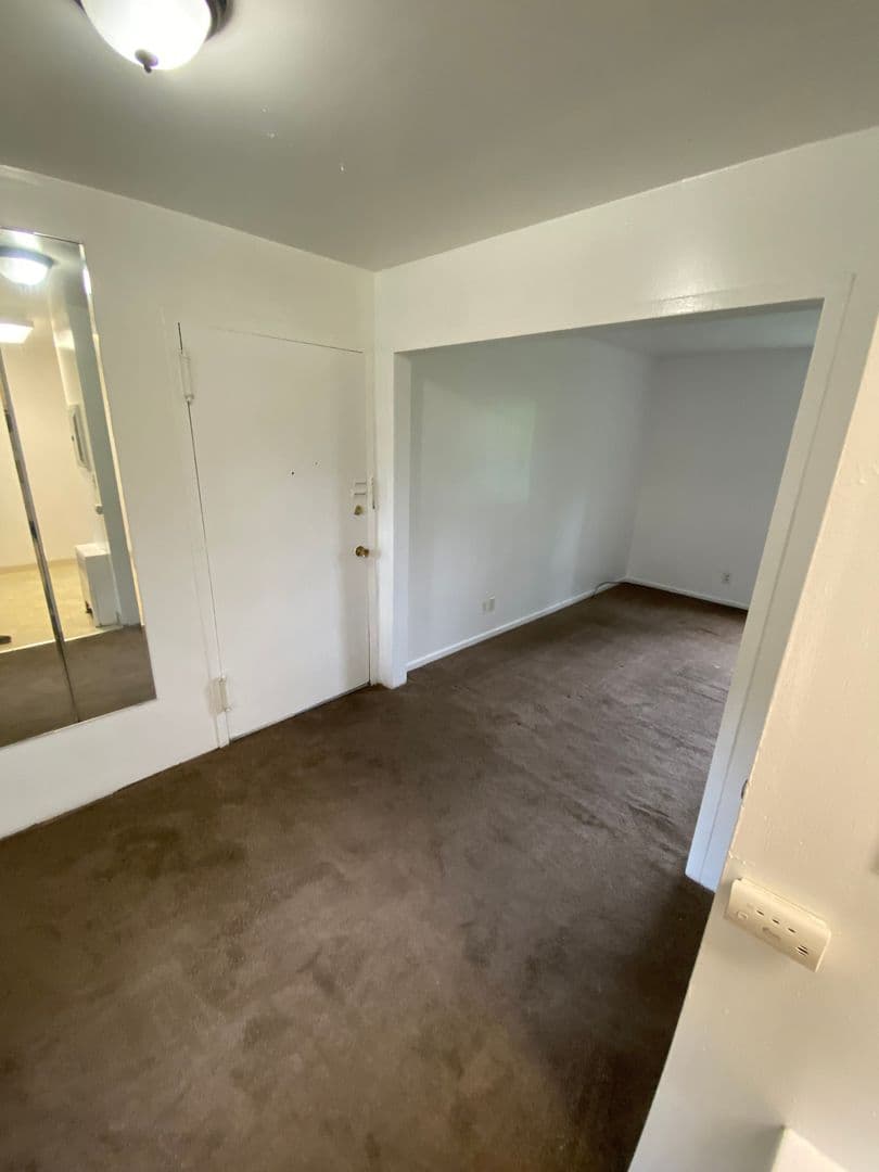 Amsterdam Apartment: 108 Northampton Road