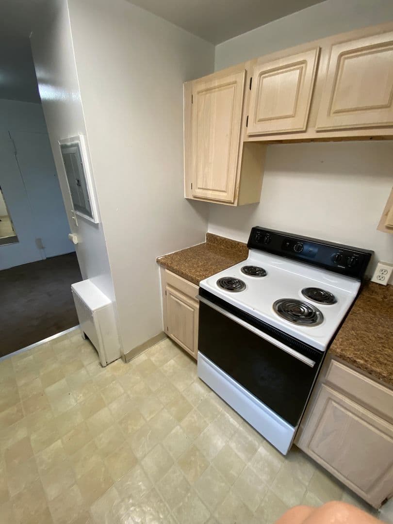 Amsterdam Apartment: 108 Northampton Road