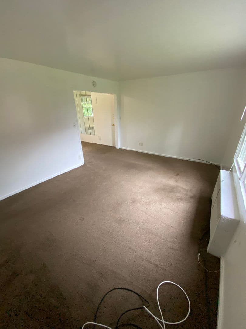 Amsterdam Apartment: 108 Northampton Road