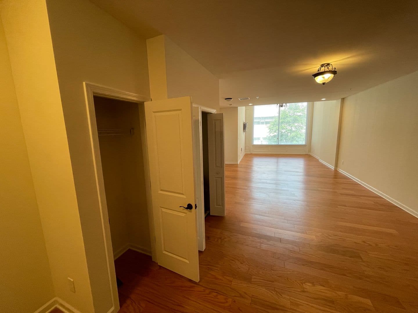 Albany Apartment: 99 Pine Street