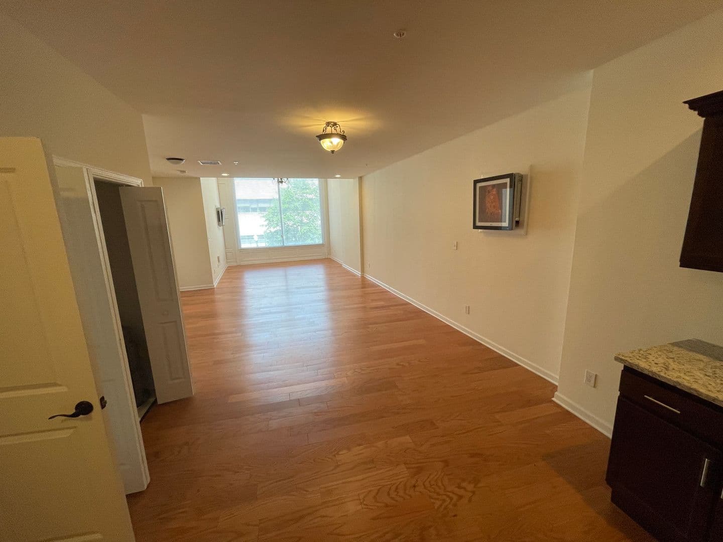 Albany Apartment: 99 Pine Street
