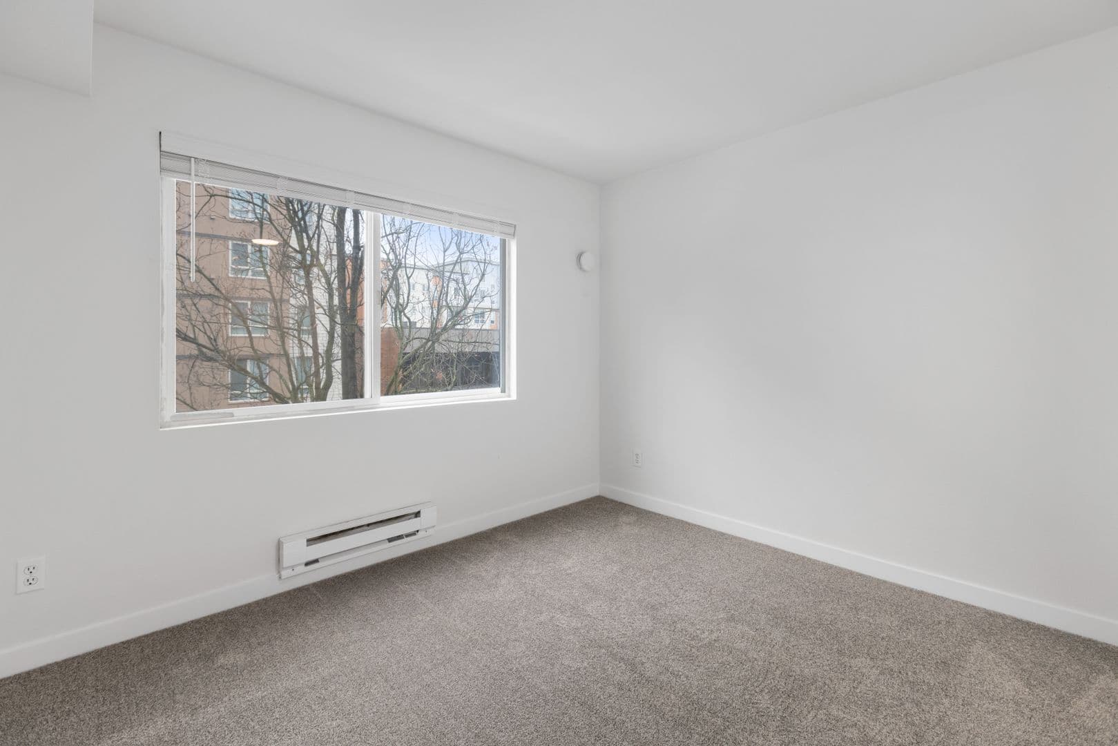 Bellevue Apartment: 11115 NE 2nd St