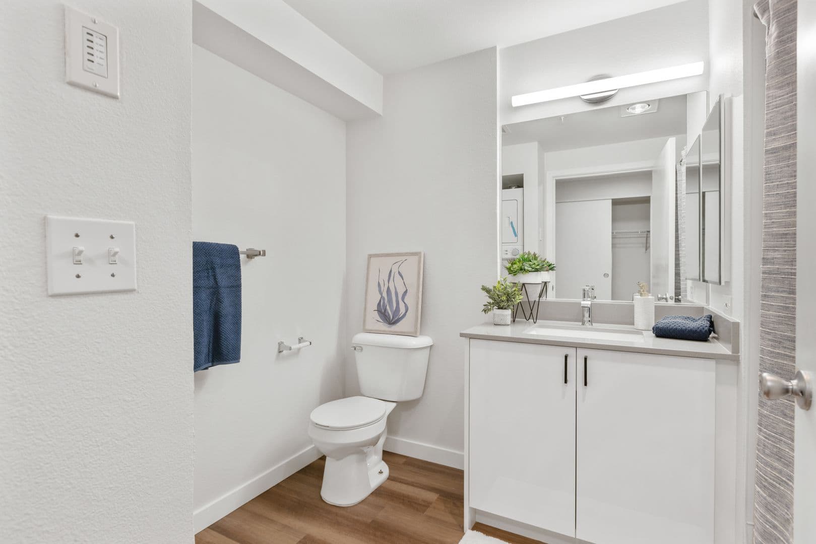Bellevue Apartment: 11115 NE 2nd St