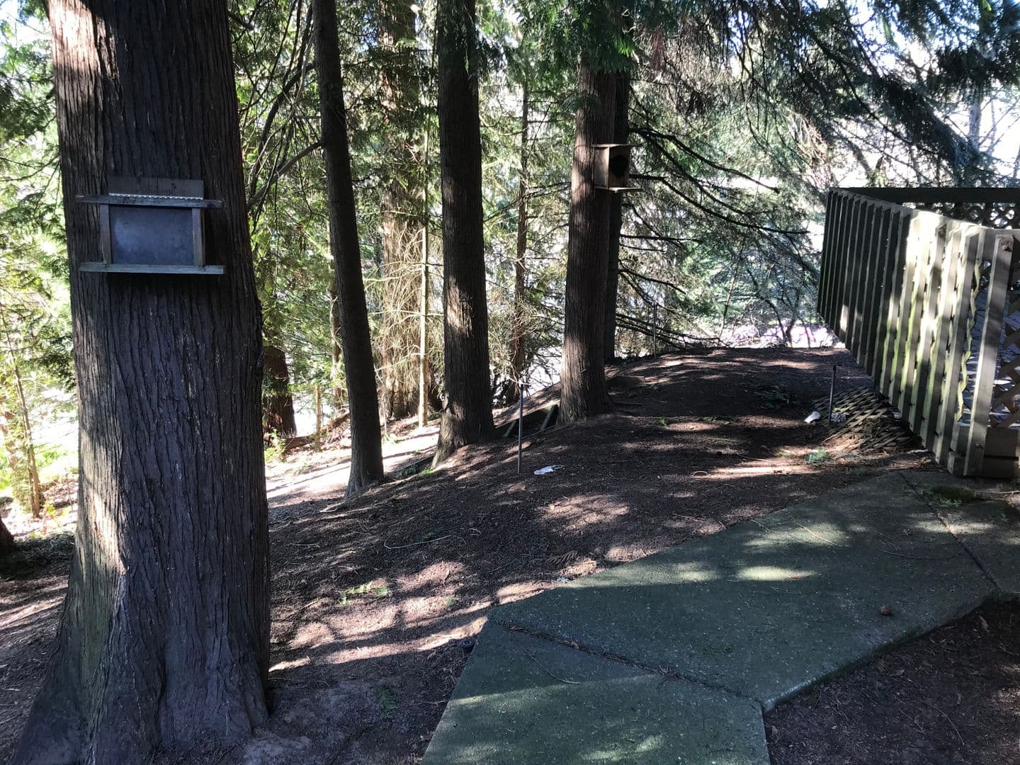 TIGARD House: 9570 SW MILLEN DR