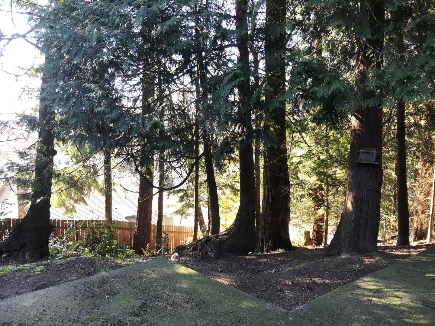 TIGARD House: 9570 SW MILLEN DR