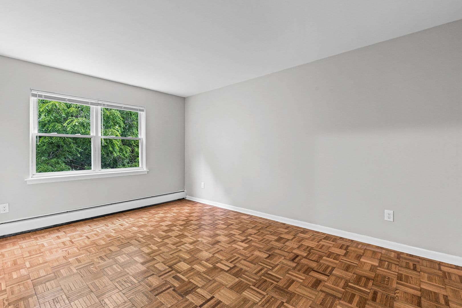 Canandaigua Apartment: 223 Bristol St