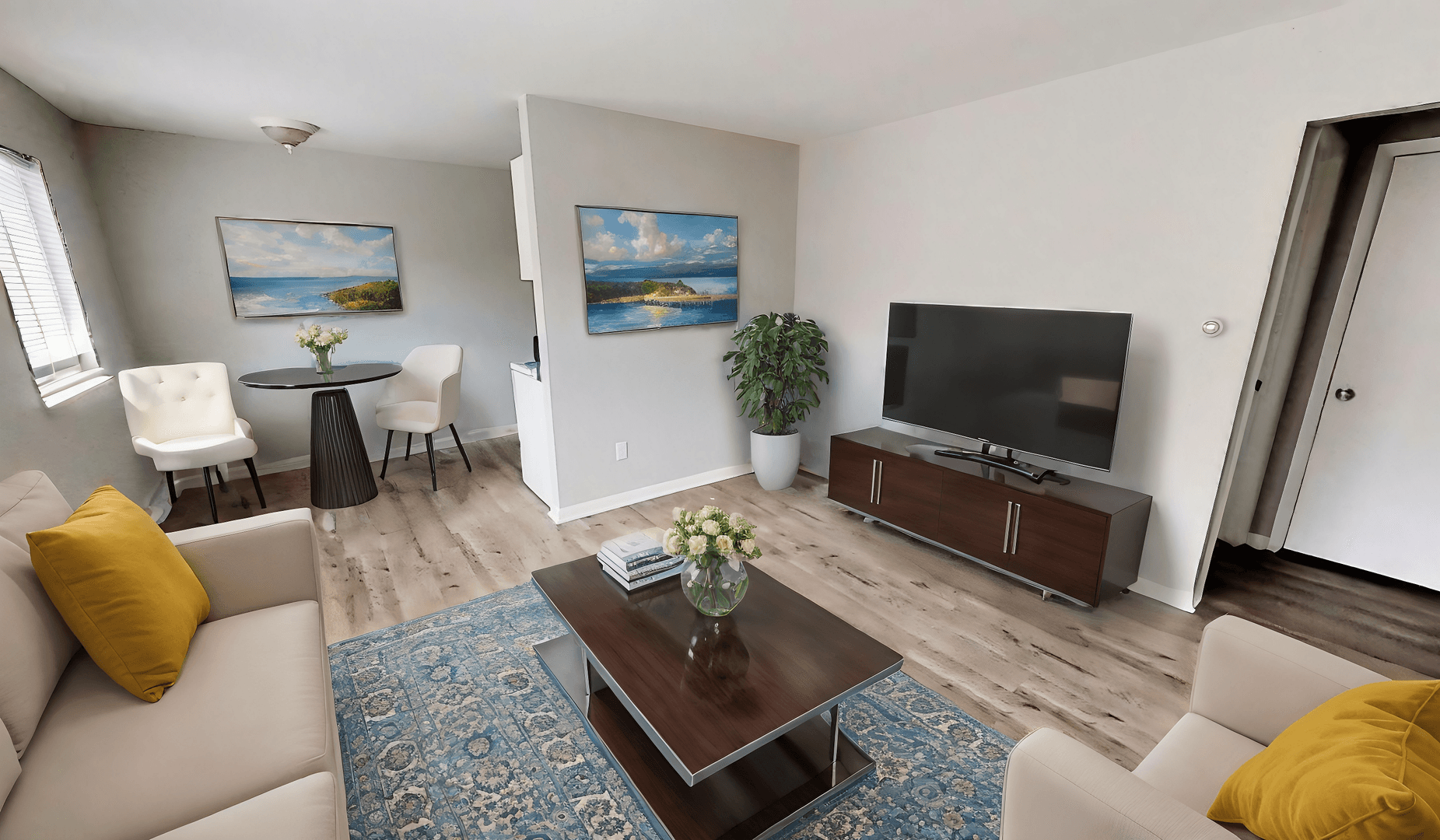 Canandaigua Apartment: 223 Bristol St