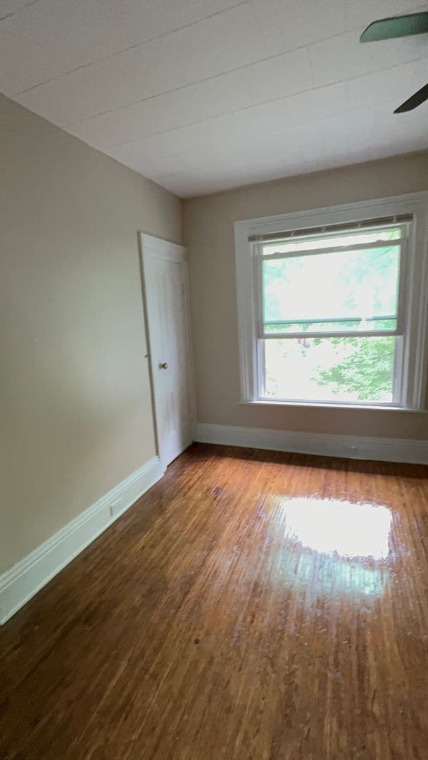 Rochester Apartment: 82 Harvard Street