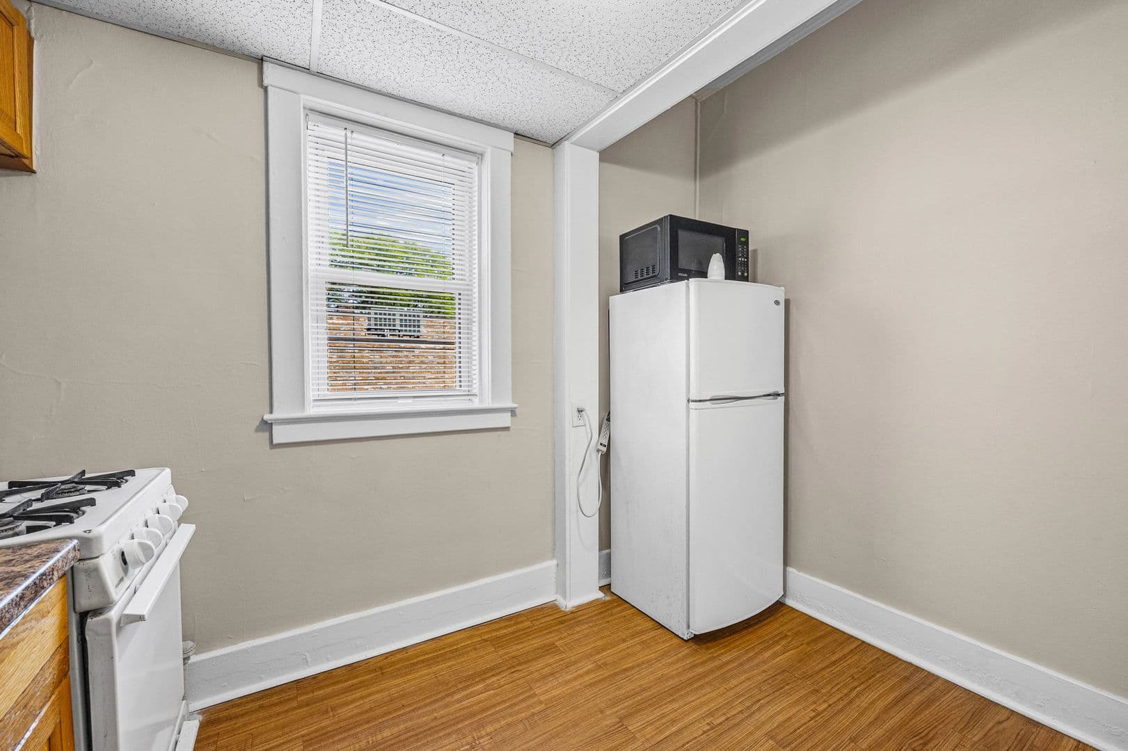 Rochester Apartment: 1615-1625 East Ave