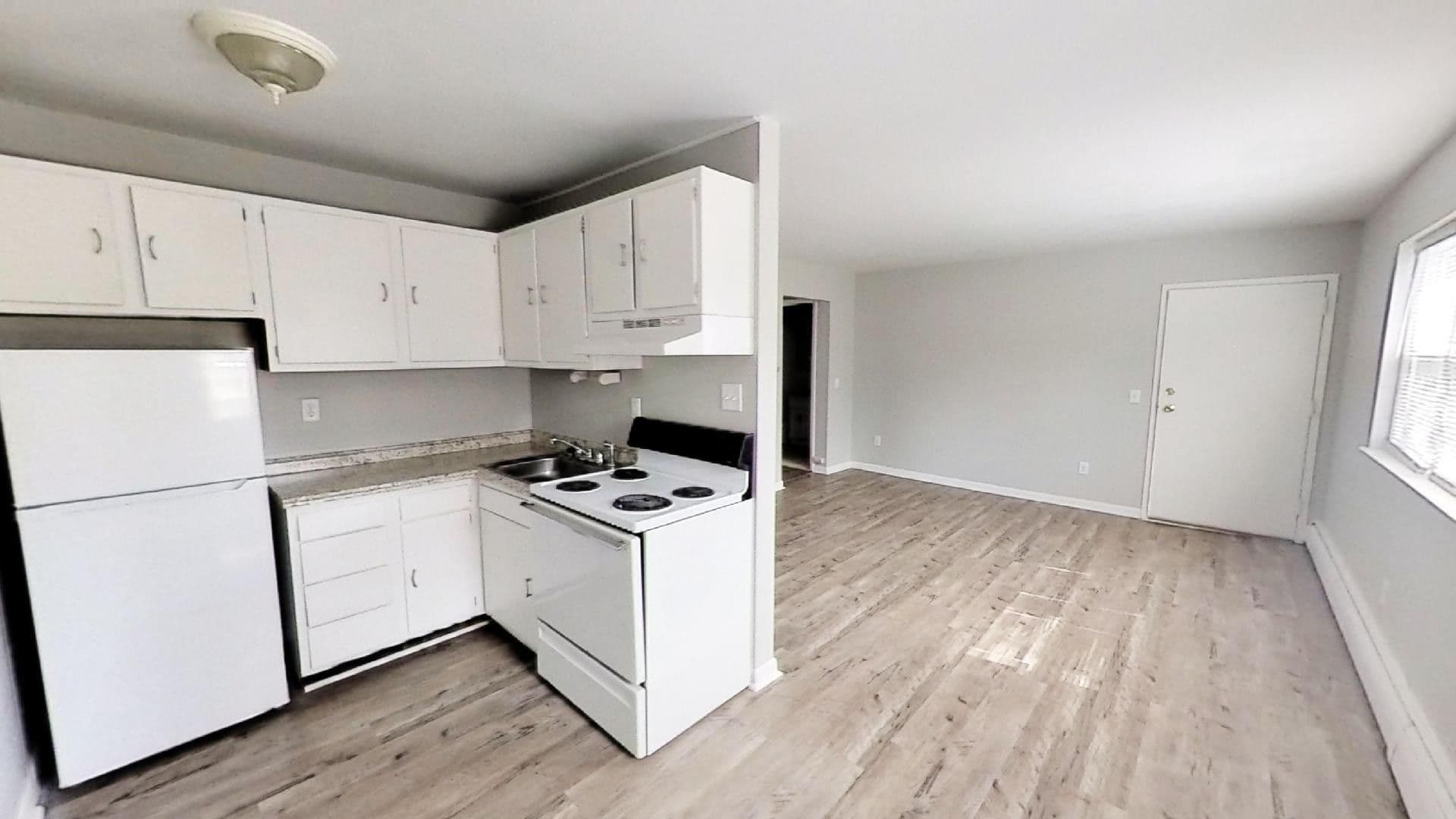 Canandaigua Apartment: 223 Bristol St