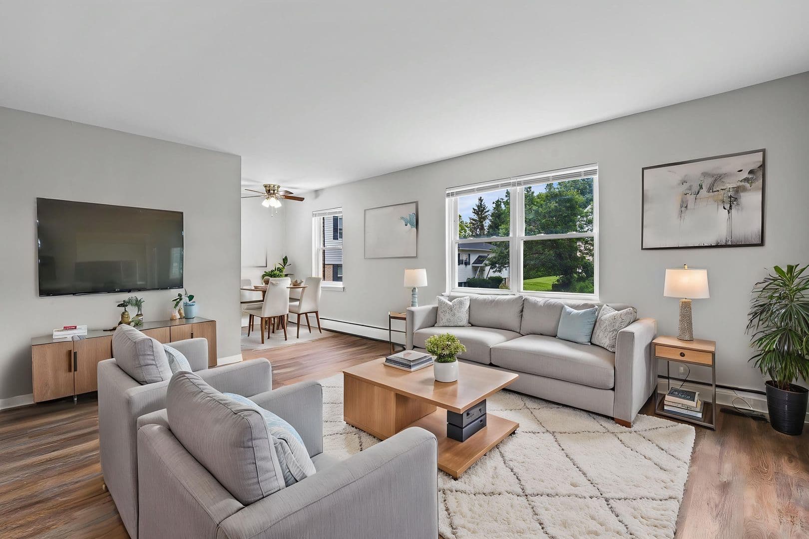 Canandaigua Apartment: 223 Bristol St