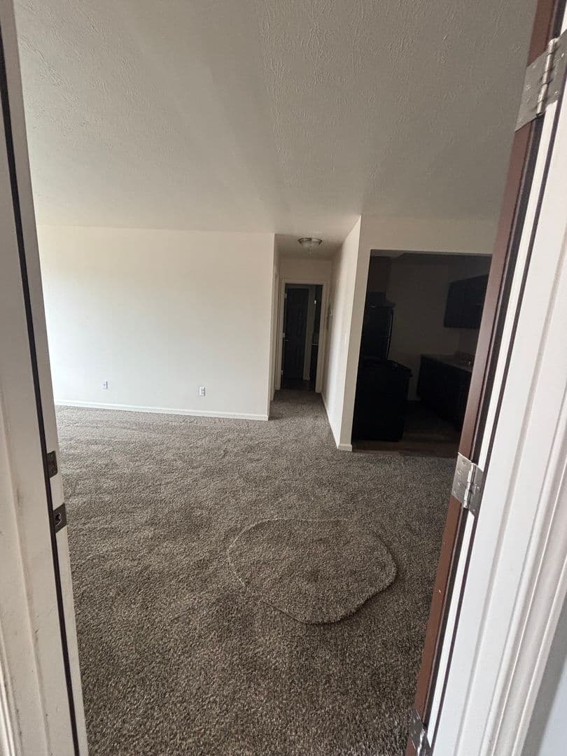 Detroit Apartment: 20479 Fleming