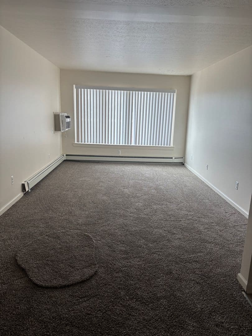 Detroit Apartment: 20479 Fleming