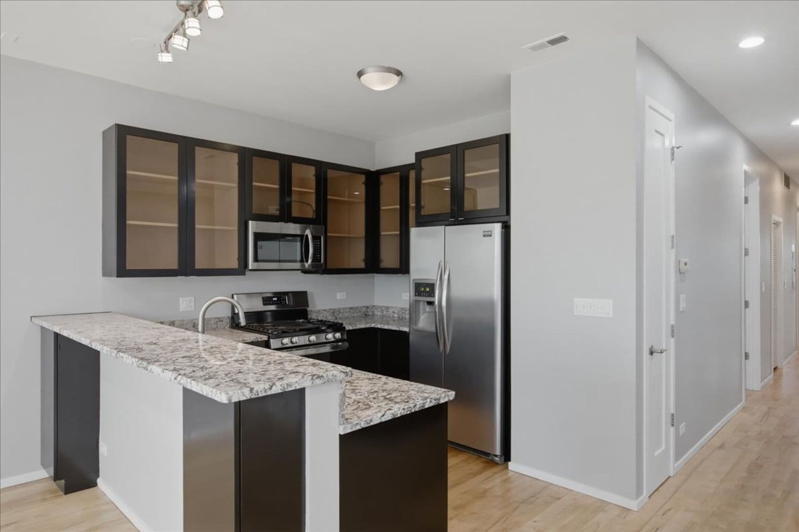 Chicago Apartment: 1649 W. Cortland