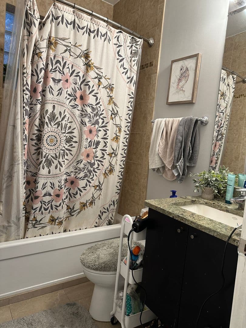 Chicago Apartment: 1649 W. Cortland
