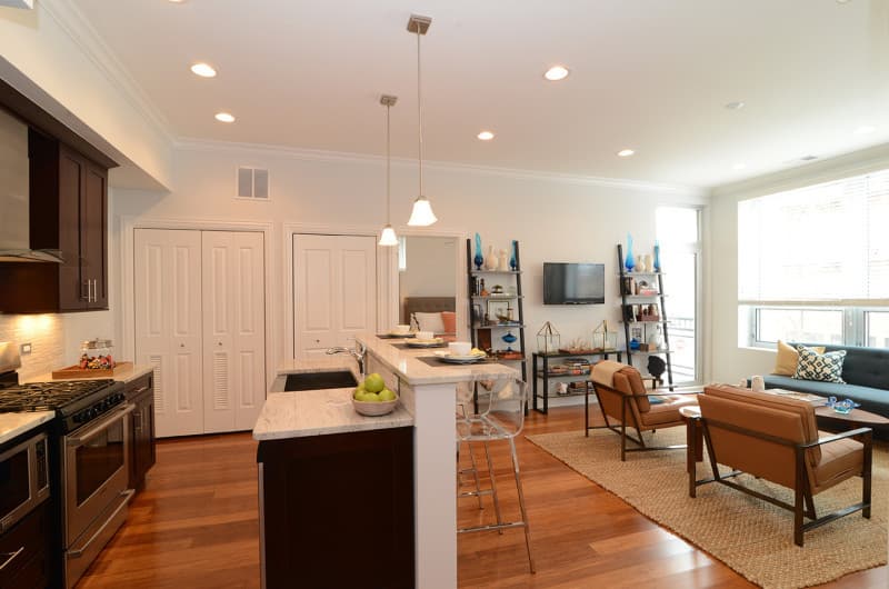 Chicago Apartment: 951 West Huron