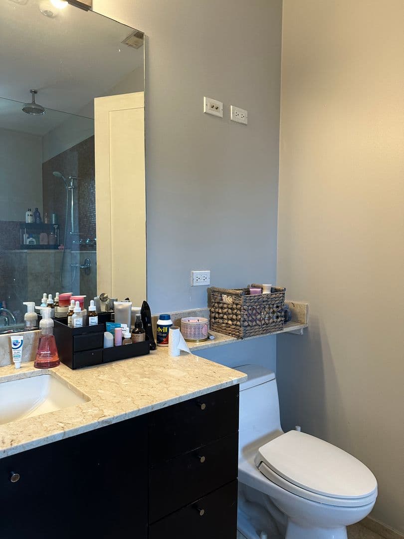 Chicago Apartment: 1649 W. Cortland