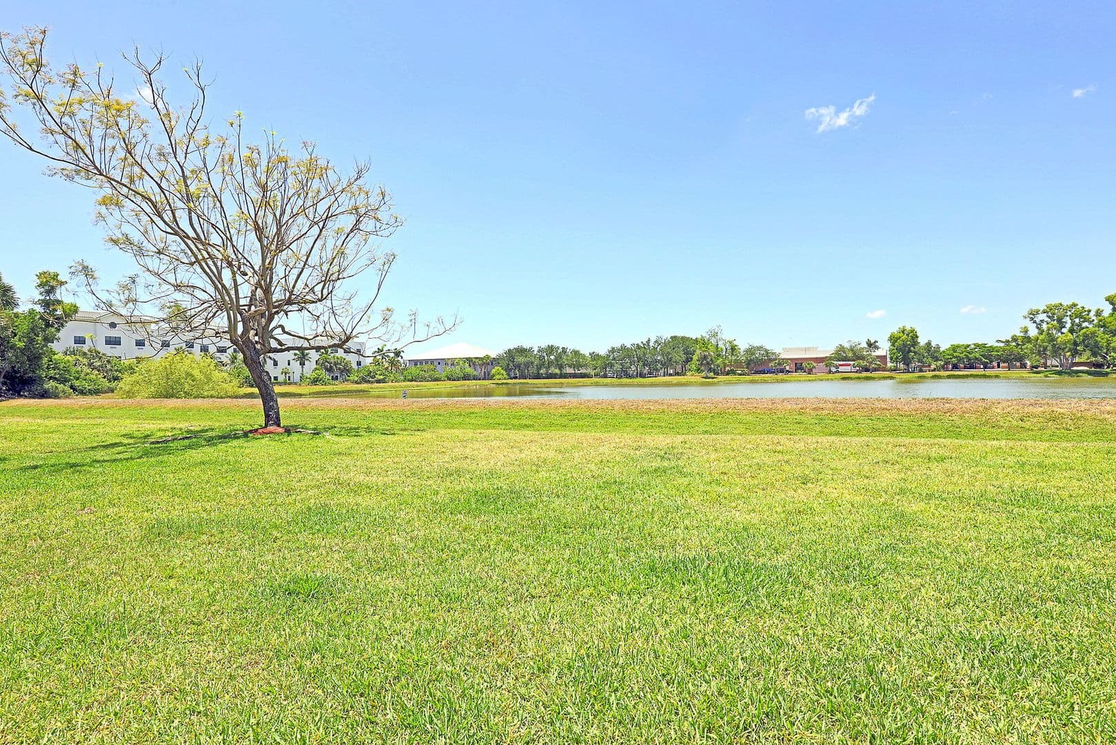 Fort Myers Apartment: 15630 Ocean Walk Circle, 204