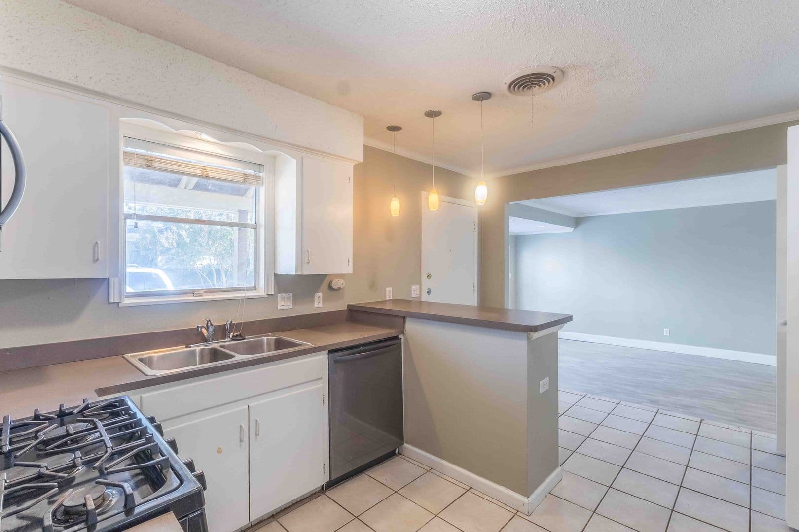 Austin Multiplex: 1104 Kinney Ave