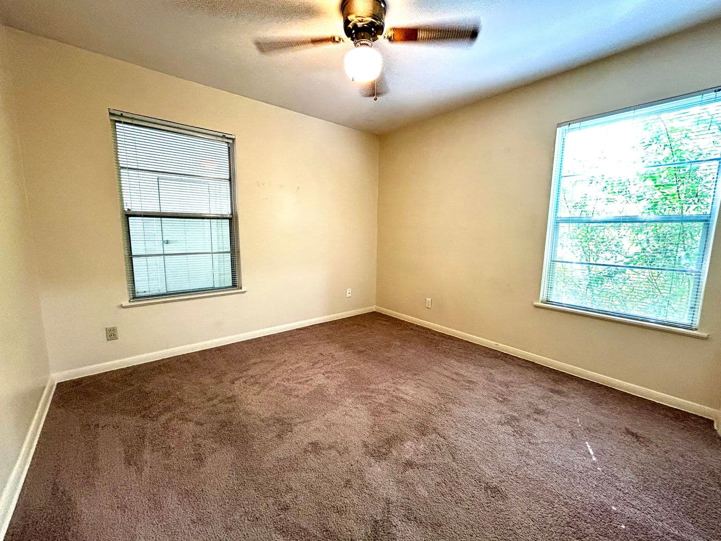 Austin Multiplex: 607 Bellevue Pl