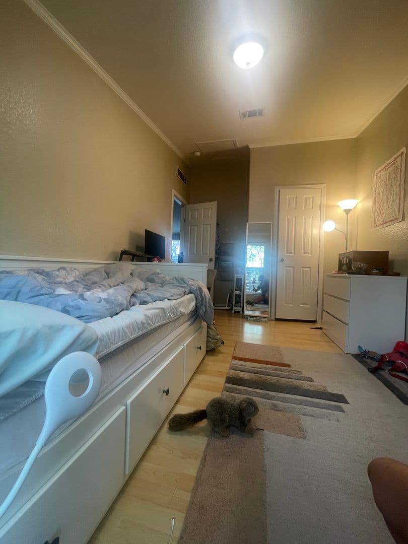 Austin Multiplex: 1410 Harvey St