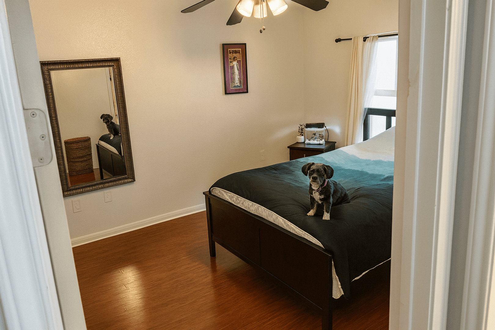 Austin Multiplex: 1707 Chestnut Ave