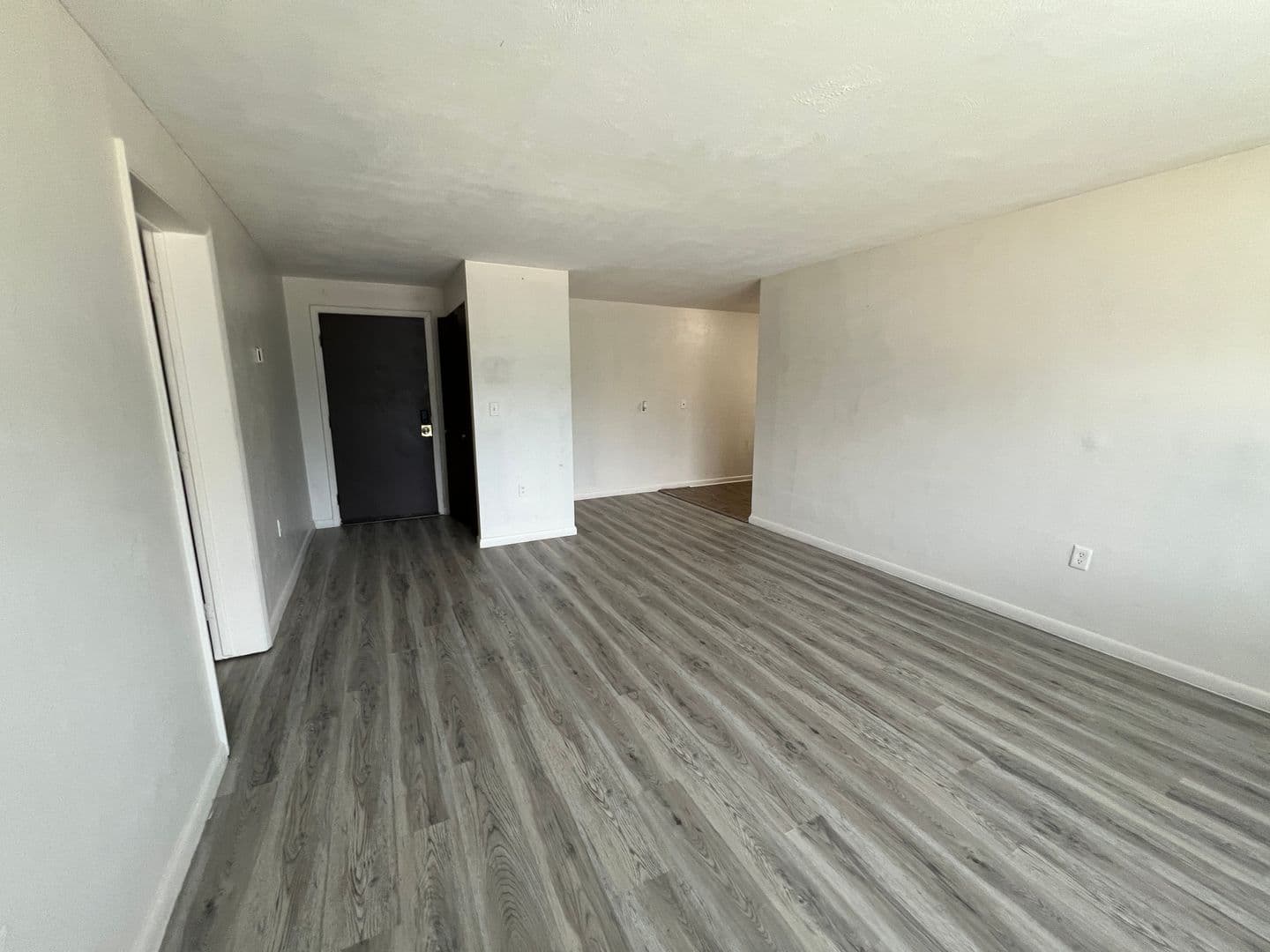 Dayton Apartment: 905 Neal Ave