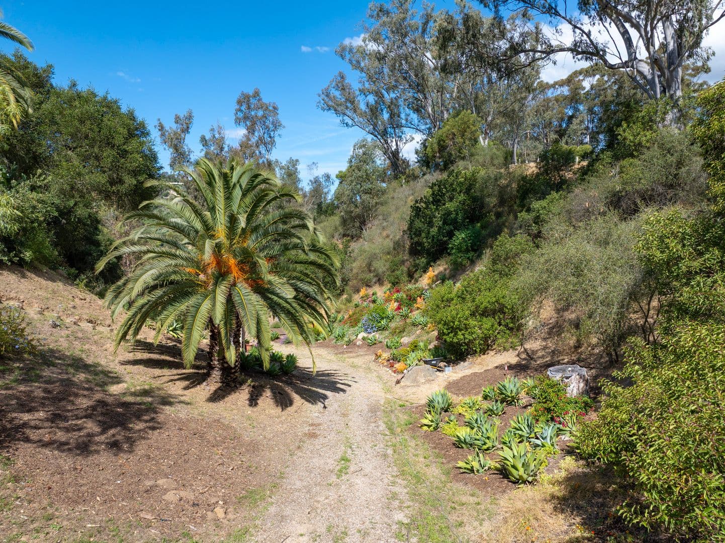 Montecito House: 655 Coyote Road