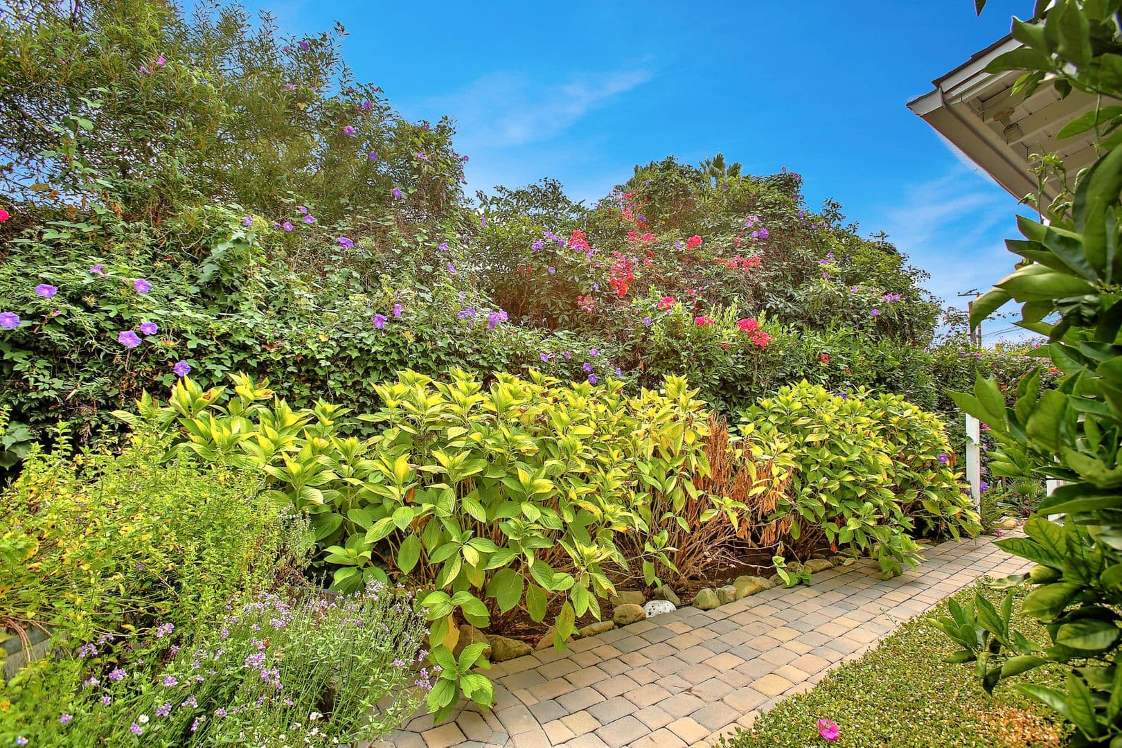 Santa Barbara House: 610 East Pedregosa Street