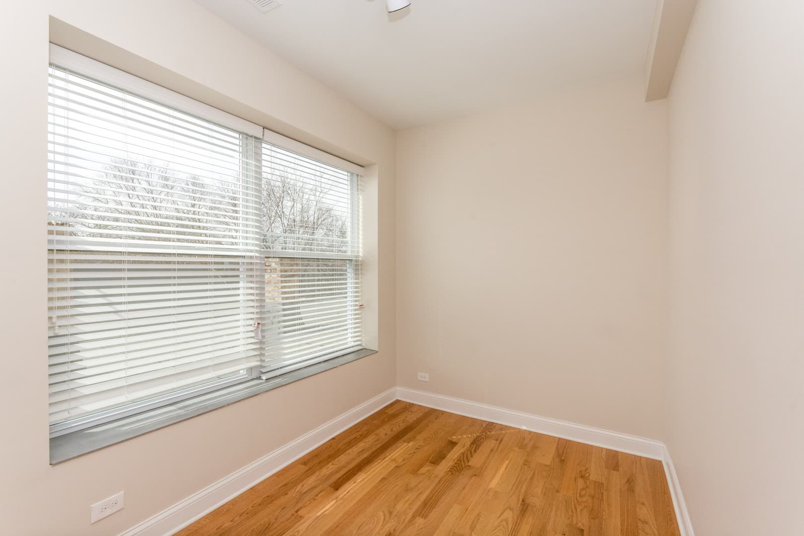 Chicago Apartment: 915 Aberdeen St