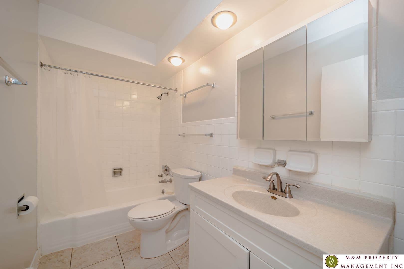 Oak Park Apartment: 432 Clinton