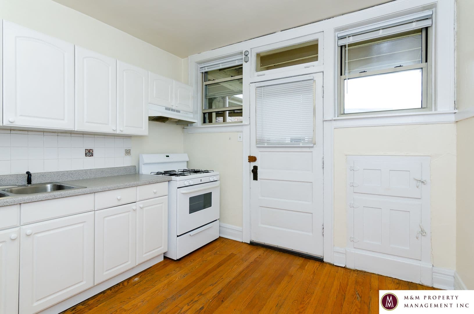 Oak Park Apartment: 319 Harrison