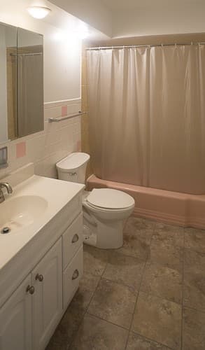 Oak Park Apartment: 432 Clinton