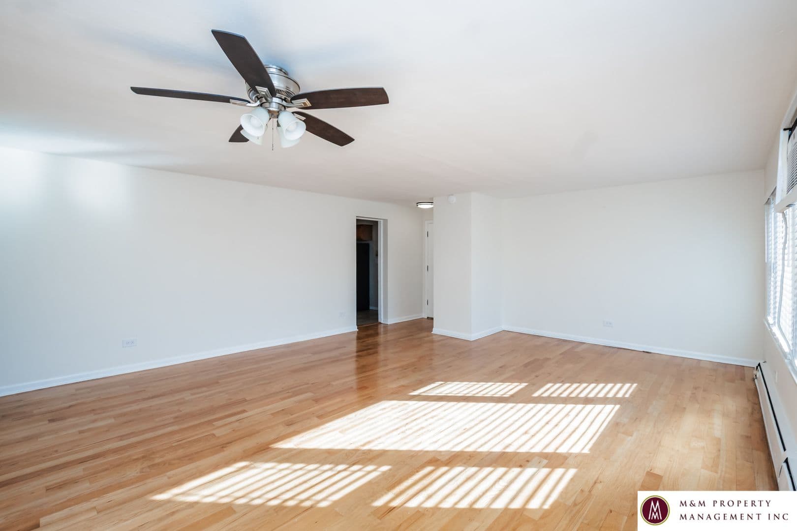 Oak Park Apartment: 432 Clinton