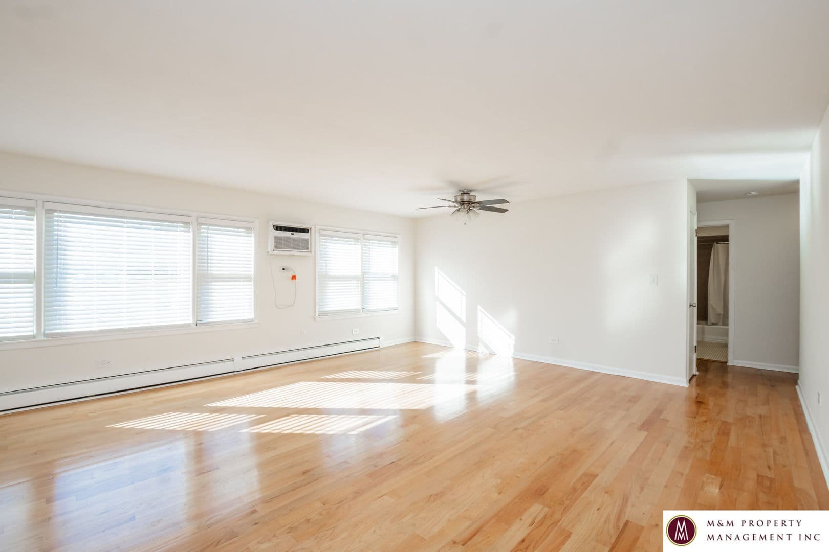 Oak Park Apartment: 432 Clinton