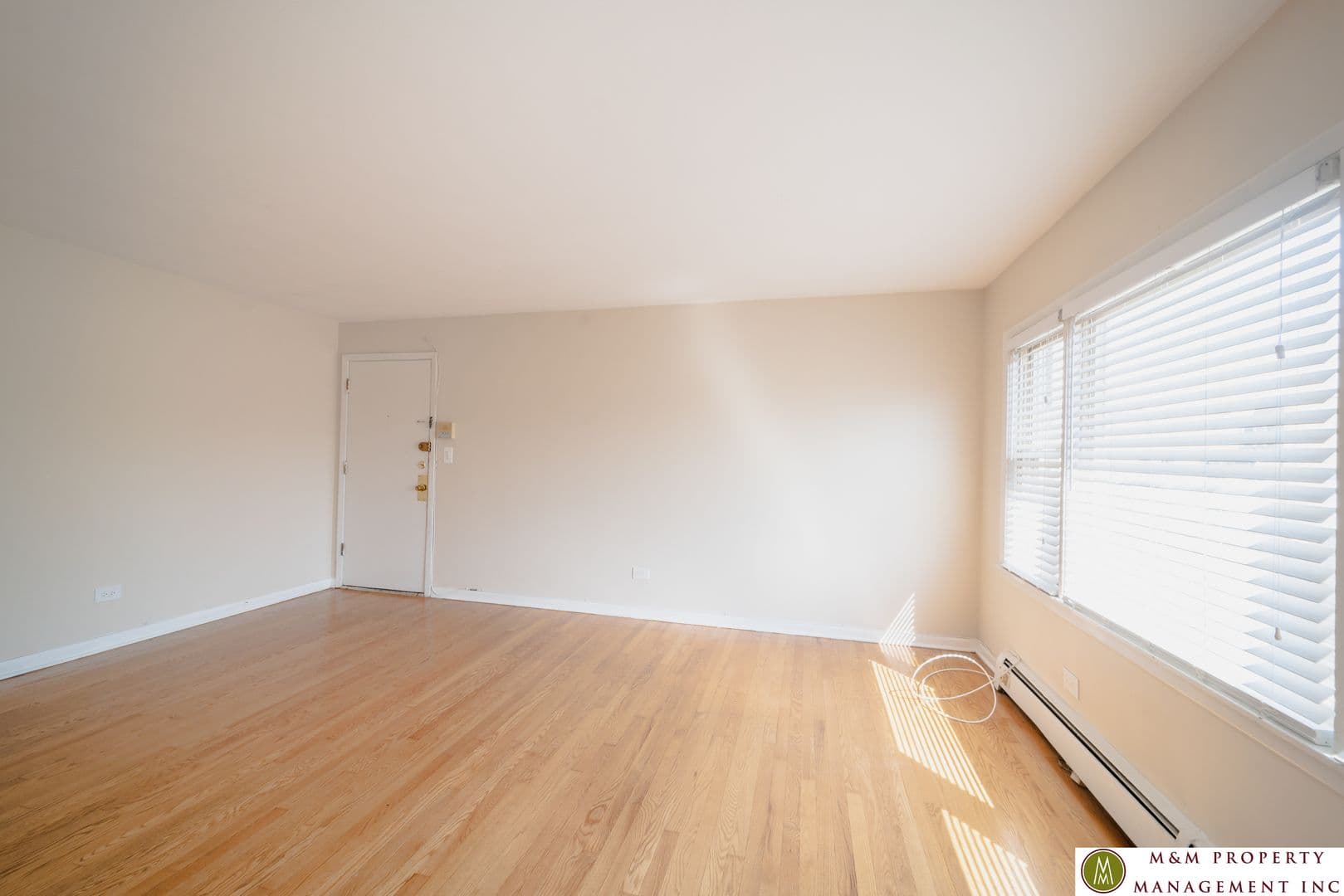 Oak Park Apartment: 432 Clinton