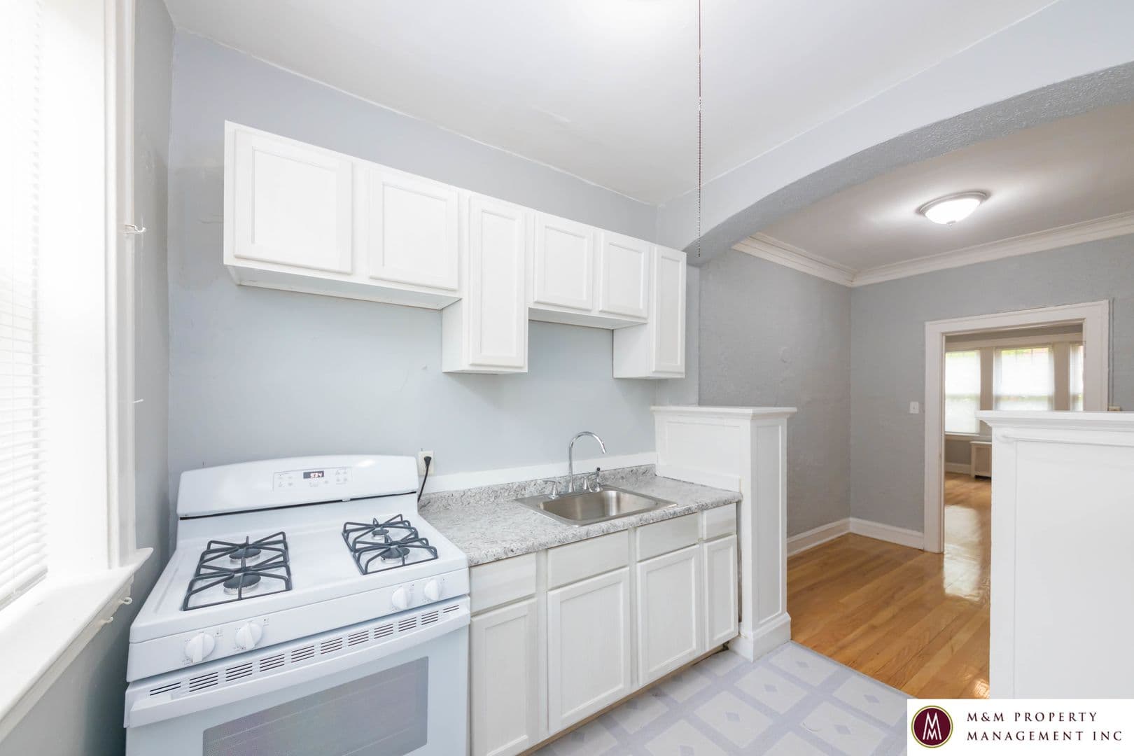 Oak Park Apartment: 458 Washington Blvd
