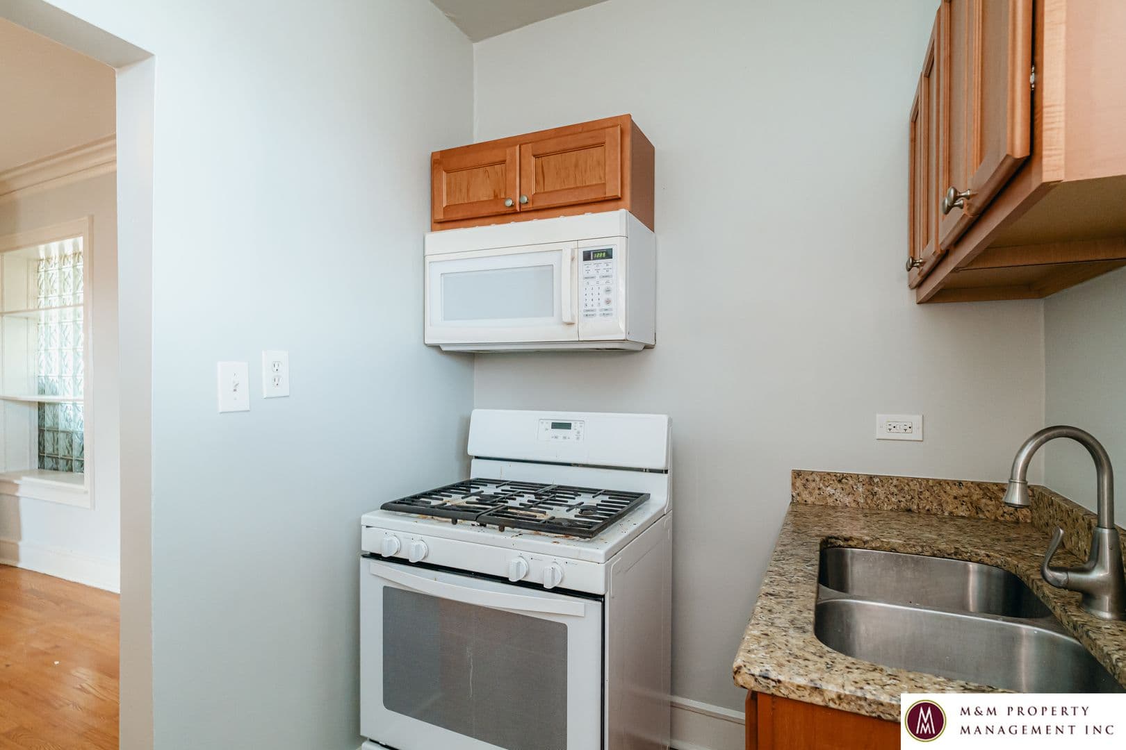 Oak Park Apartment: 440 N Austin Avenue