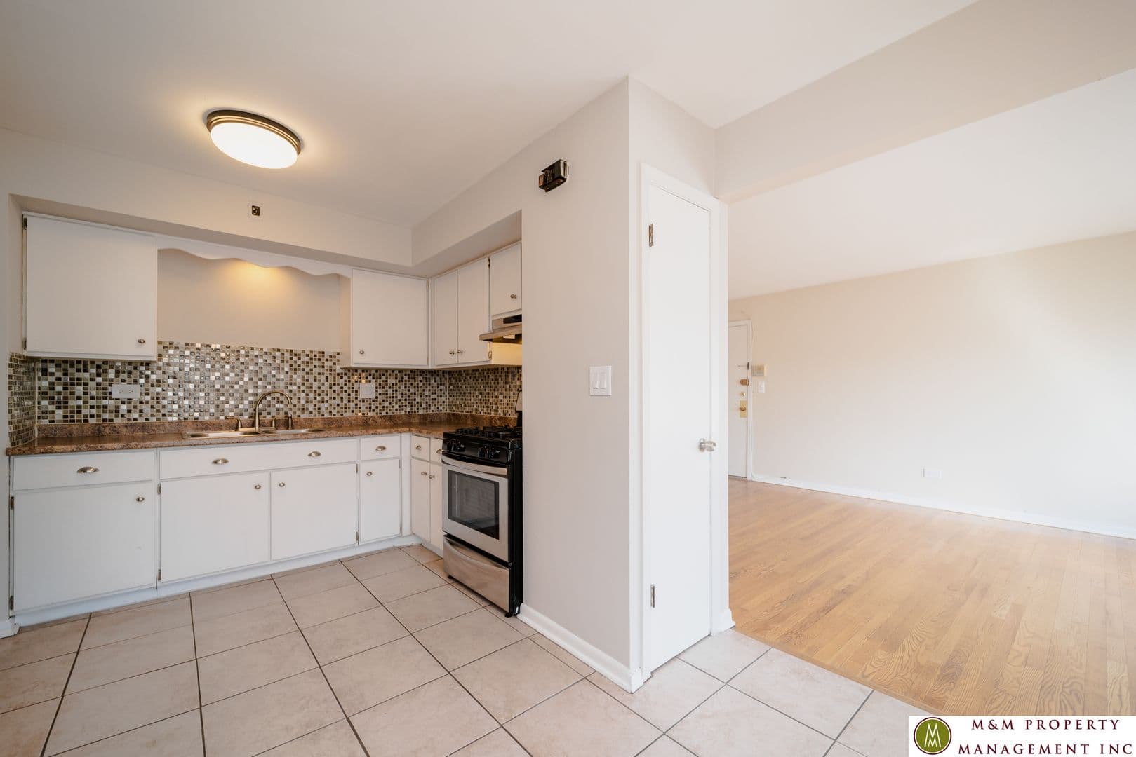 Oak Park Apartment: 432 Clinton