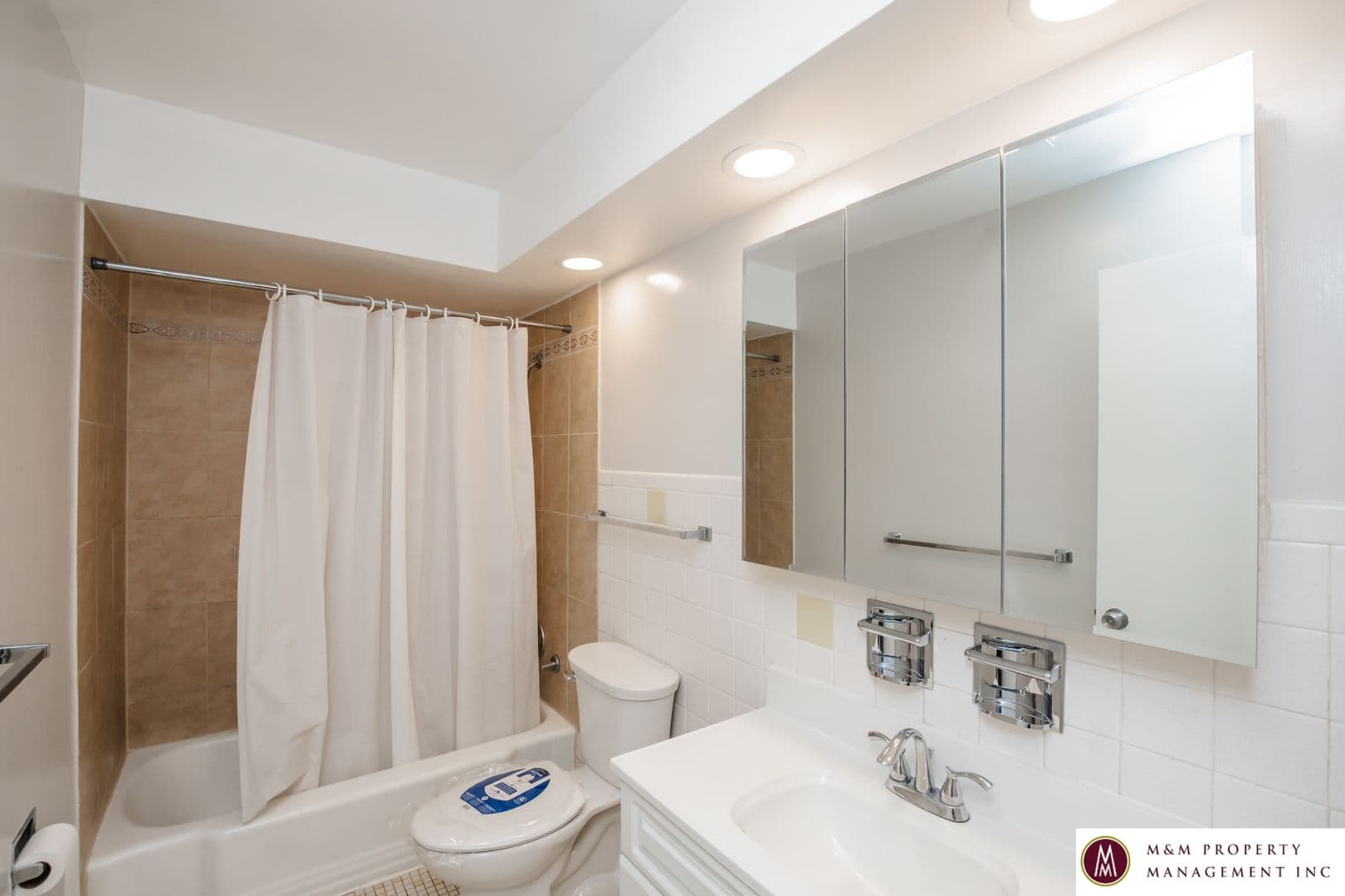 Oak Park Apartment: 432 Clinton