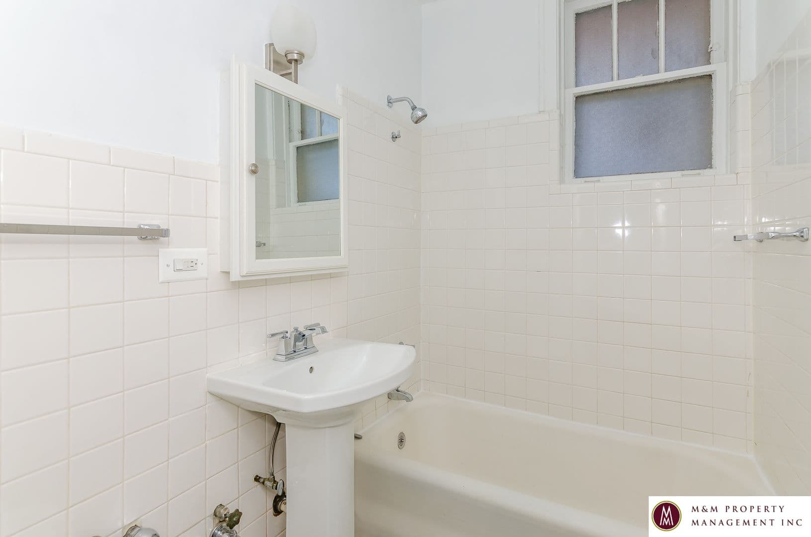 Oak Park Apartment: 921 Lake Street