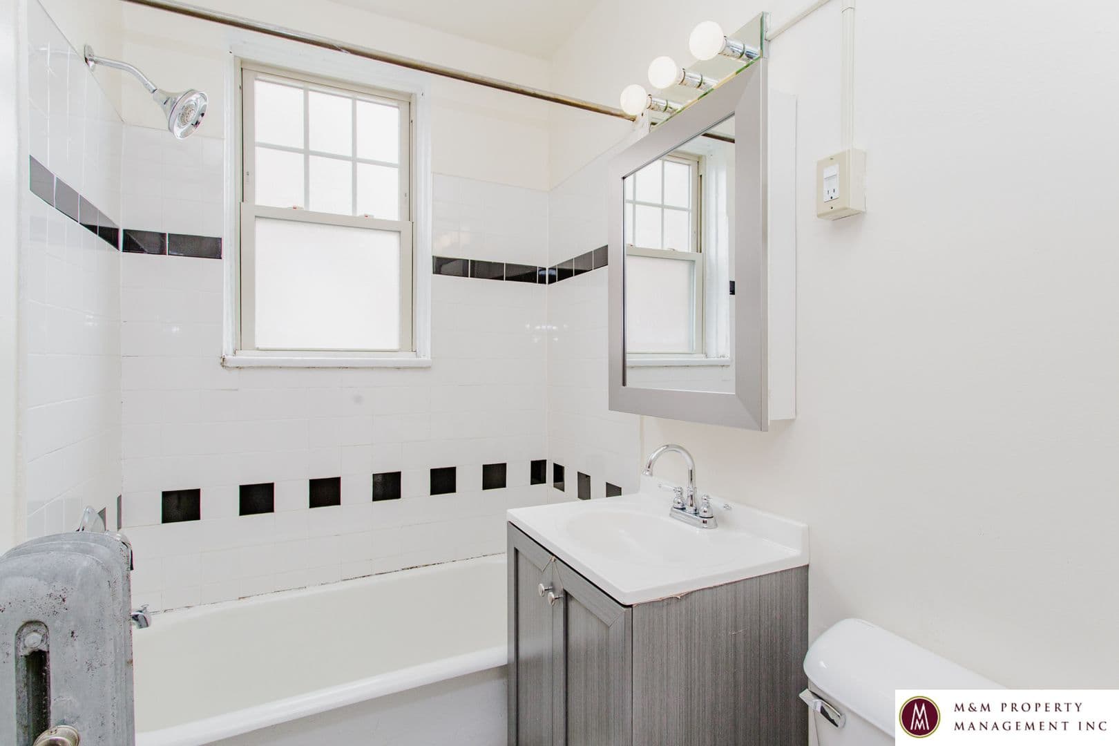 Oak Park Apartment: 437 S. Kenilworth