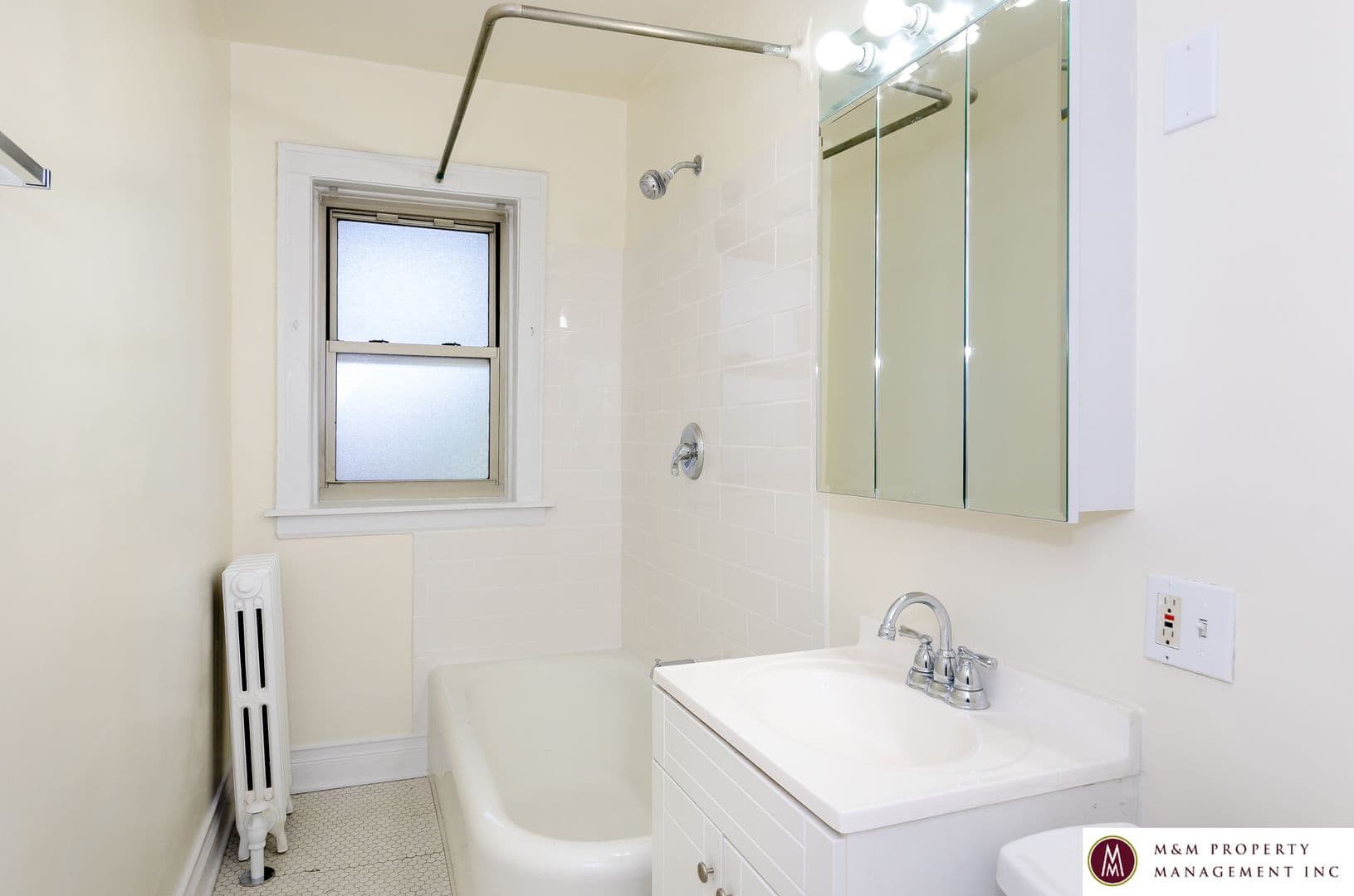 Oak Park Apartment: 319 Harrison