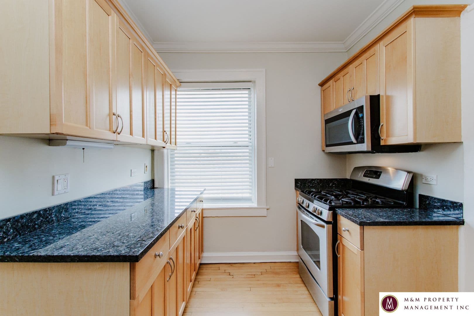 Oak Park Apartment: 628 Harrison
