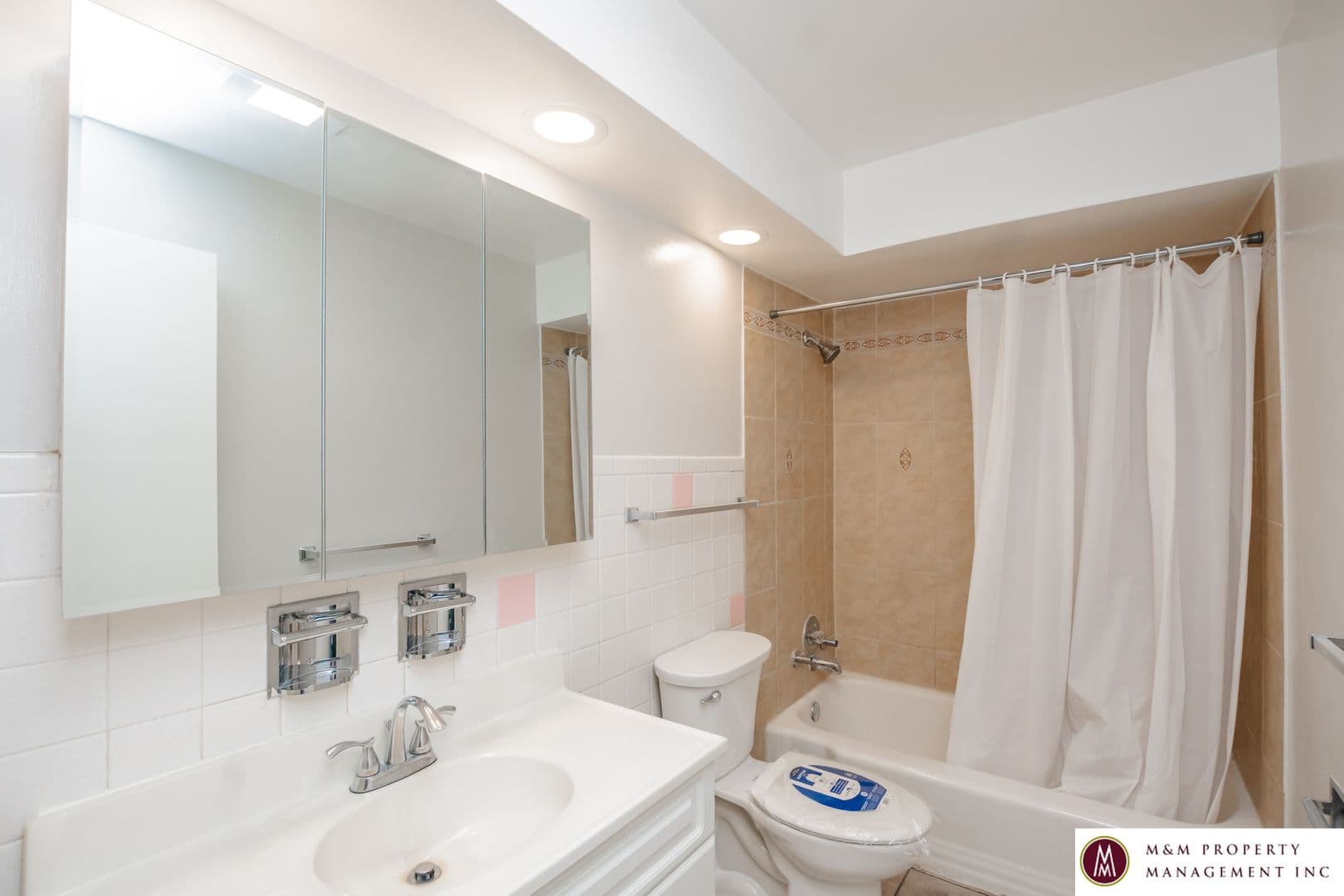 Oak Park Apartment: 432 Clinton