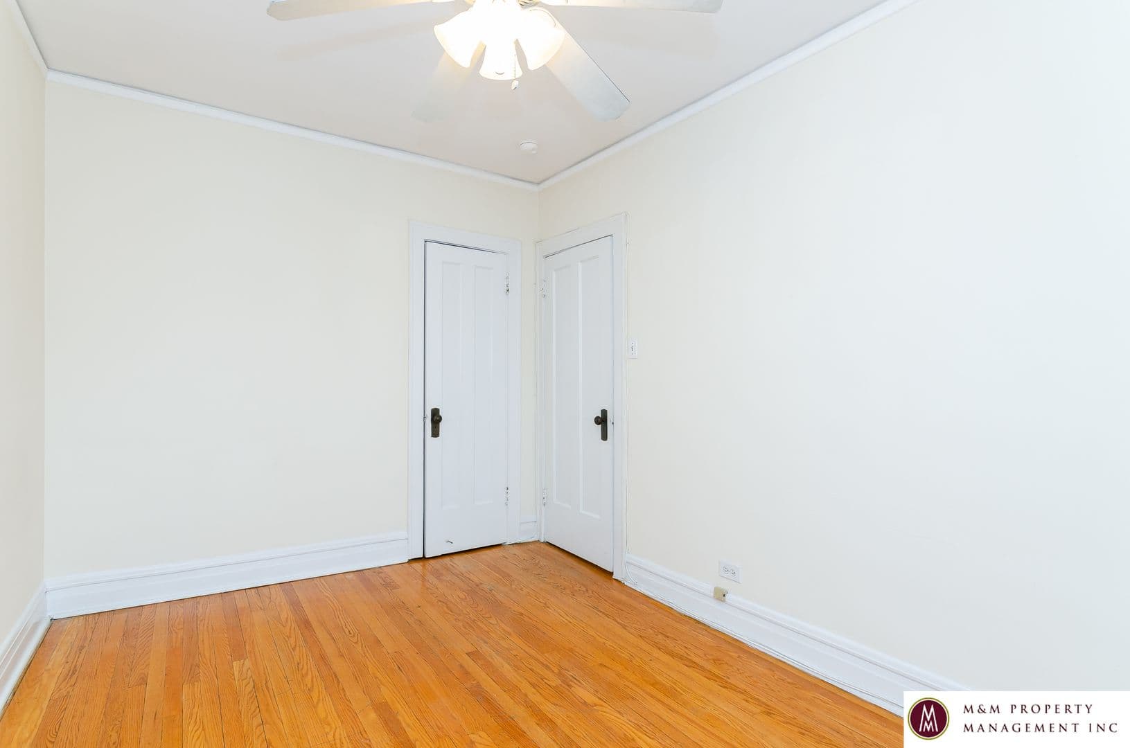 Oak Park Apartment: 319 Harrison