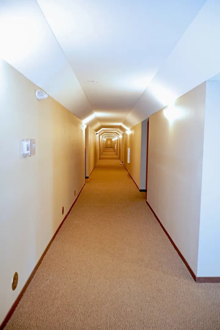 Glencoe Apartment: 2905 14th Street East