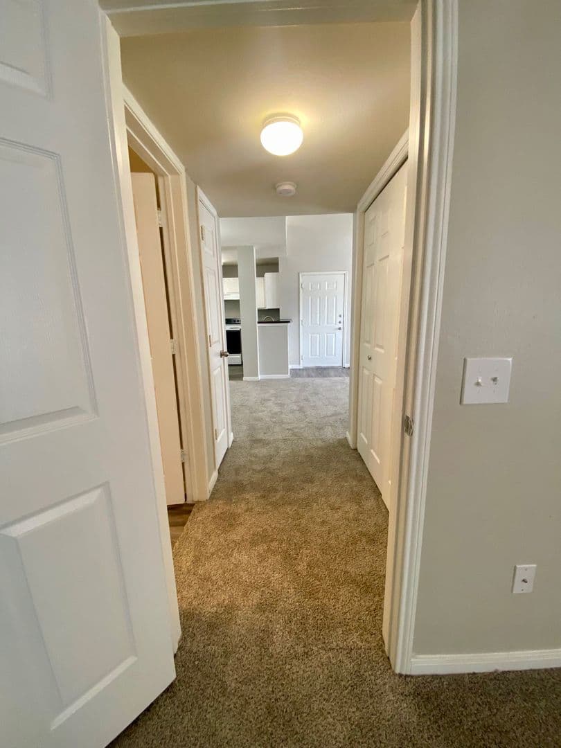 Lubbock Apartment: 4501 71st St