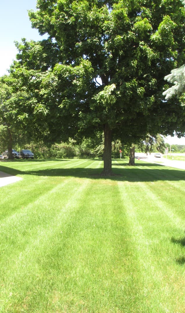Elk River Apartment: 18594 Gary St
